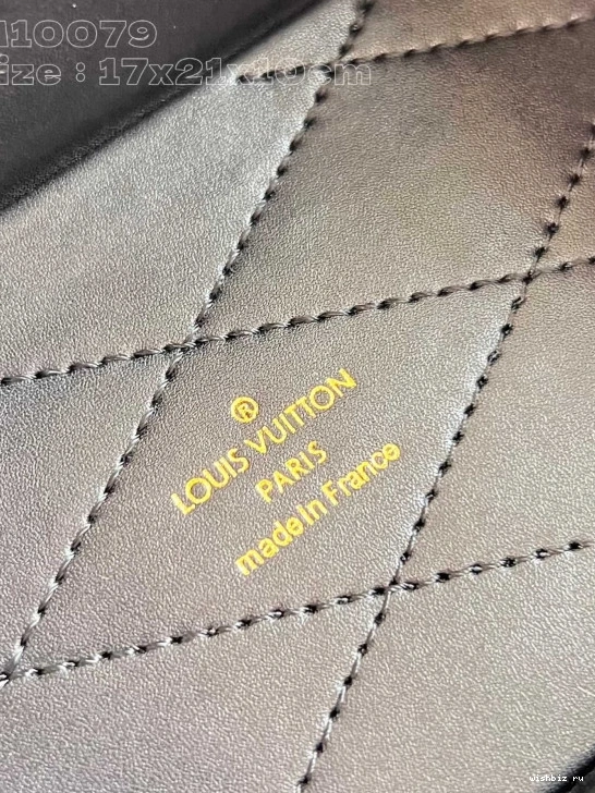 WIS VUITTON Monogram Canvas Box Camera LOUIS 0303